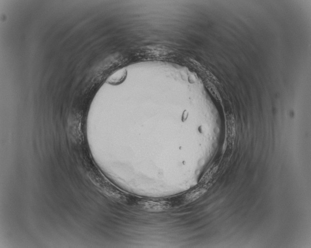 X0000081600615200702121551