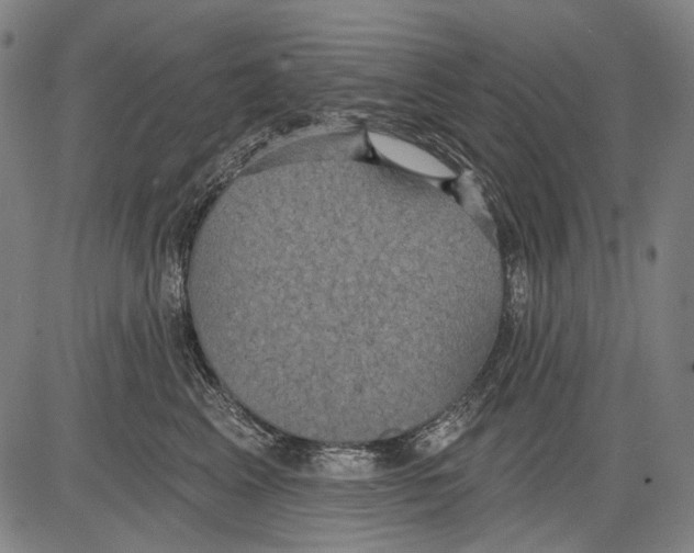 X0000081600617200702121551