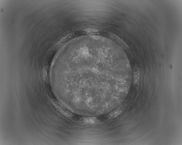 X0000081600618200702121551