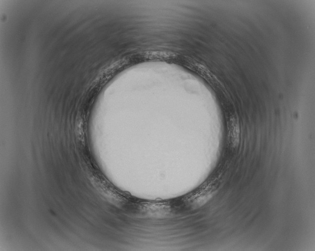 X0000081600619200702121551