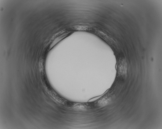 X0000081600620200702121551