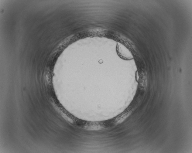 X0000081600622200702121551