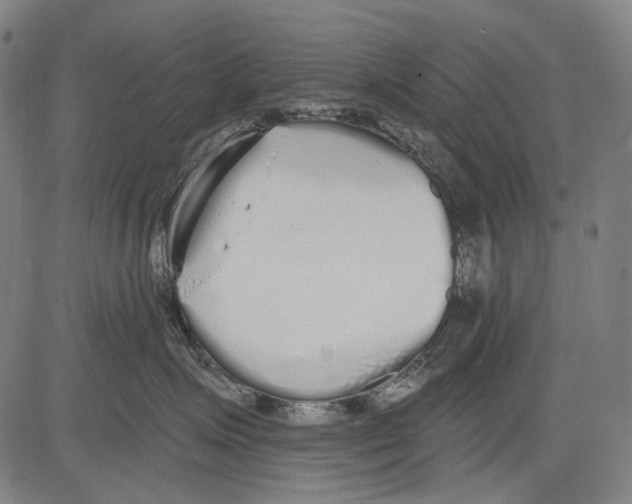 X0000081600623200702121551