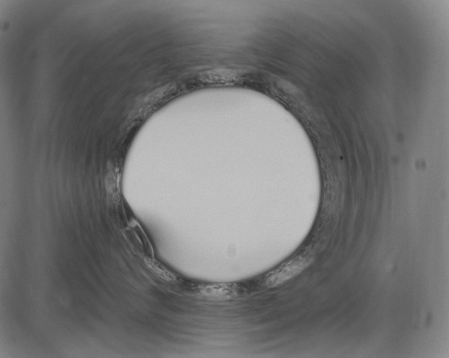 X0000081600624200702121551