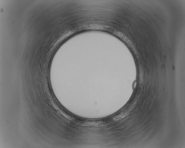 X0000081600625200702121550