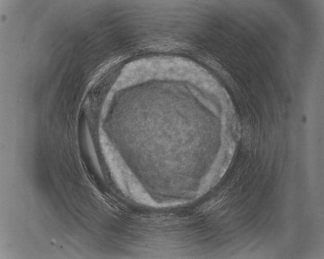 X0000081600626200702121550