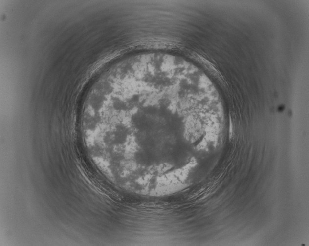 X0000081600627200702121550