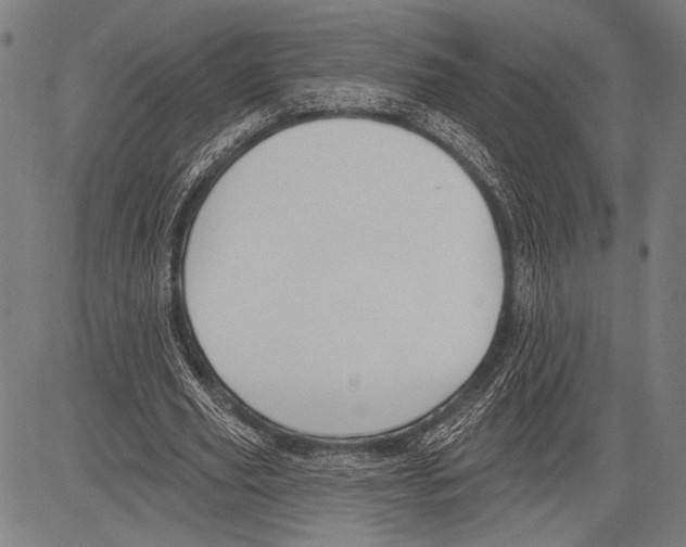 X0000081600629200702121550