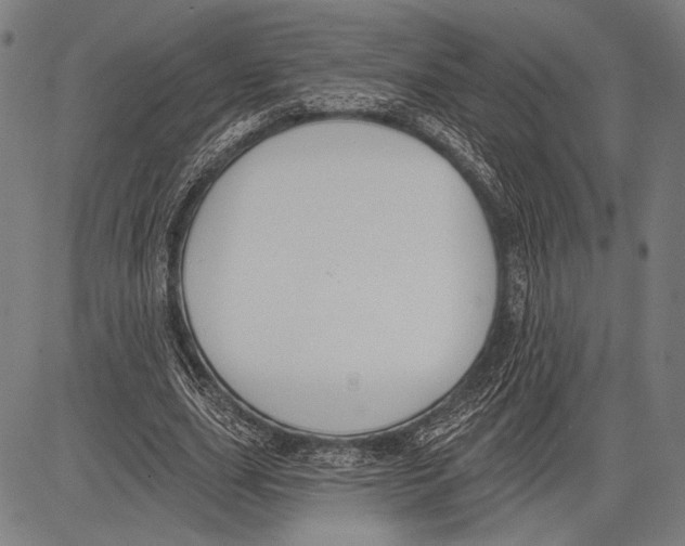 X0000081600631200702121550