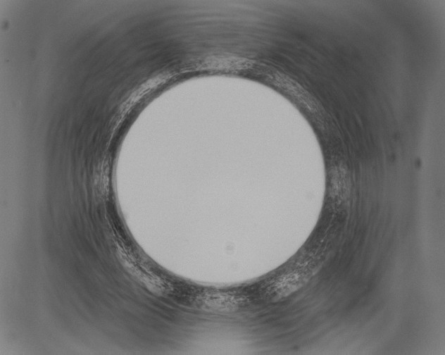 X0000081600632200702121550