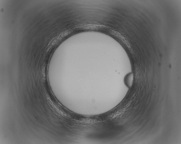 X0000081600633200702121550