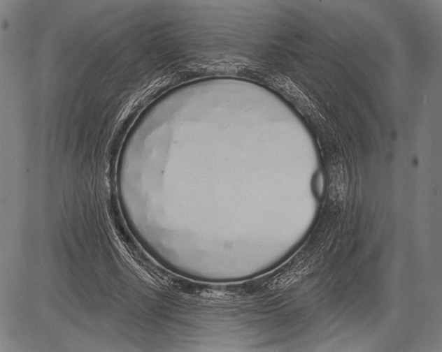 X0000081600634200702121550