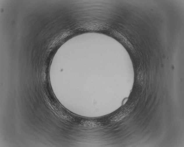 X0000081600635200702121550