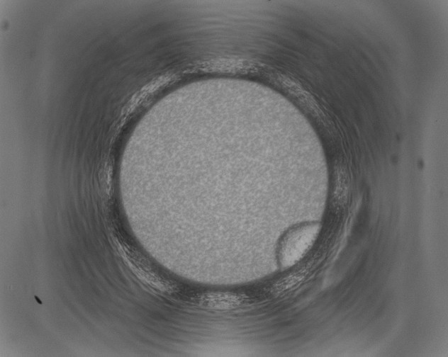 X0000081600636200702121550