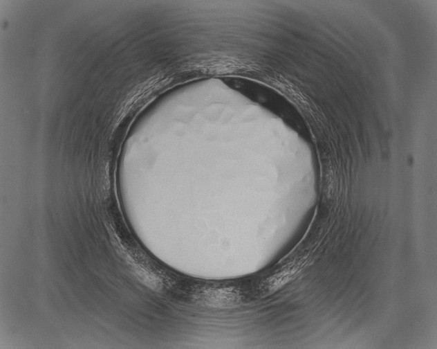 X0000081600638200702121550