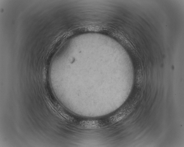 X0000081600639200702121550