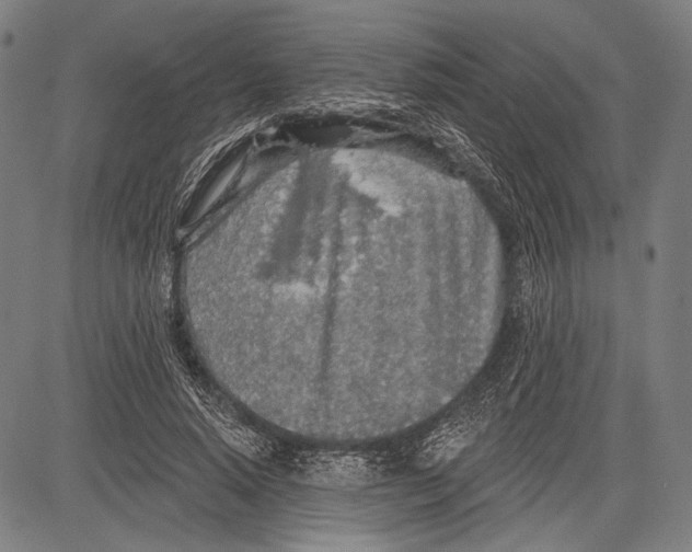 X0000081600640200702121550