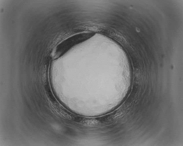 X0000081600642200702121550