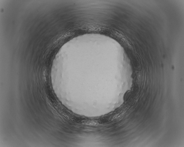 X0000081600643200702121550