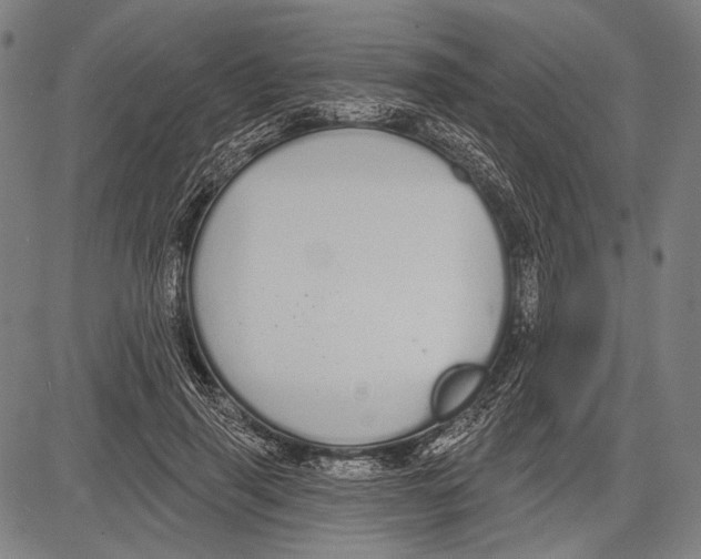 X0000081600645200702121550