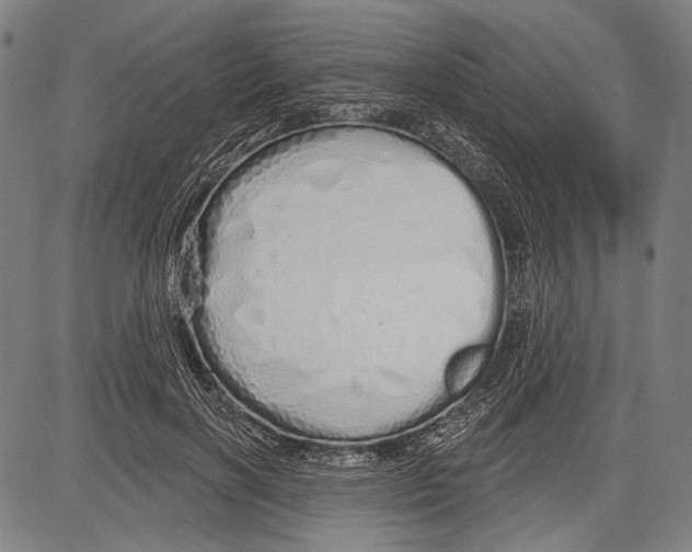 X0000081600646200702121550