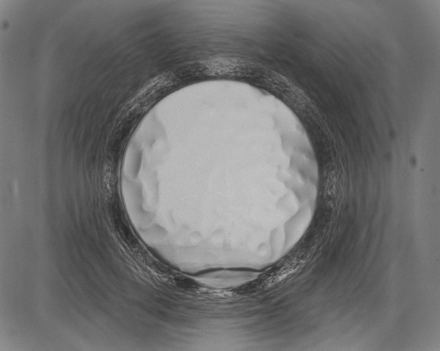 X0000081600648200702121550