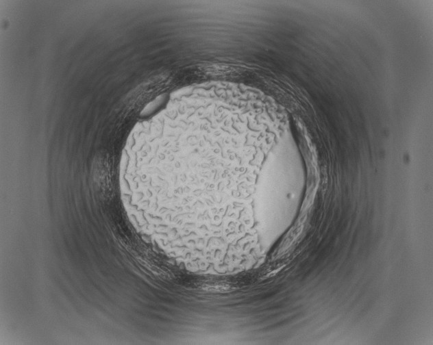 X0000081600653200702121550