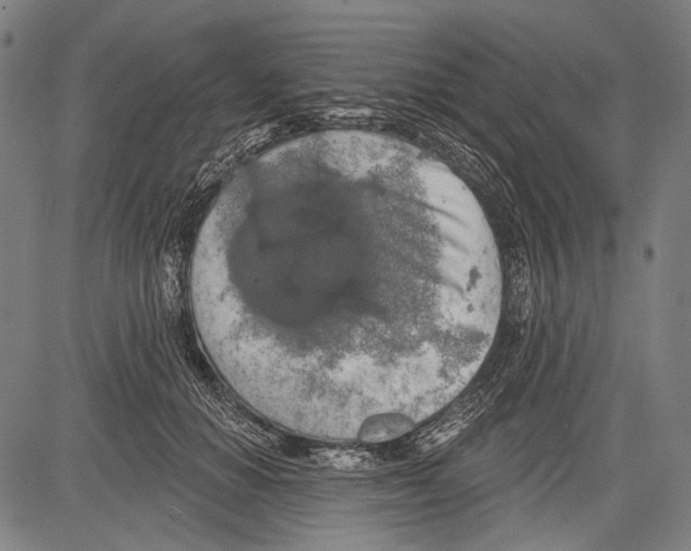 X0000081600654200702121550