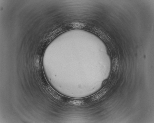 X0000081600655200702121550