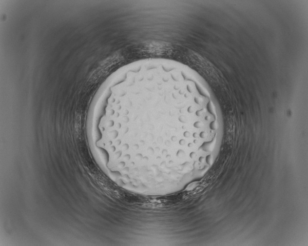 X0000081600656200702121550