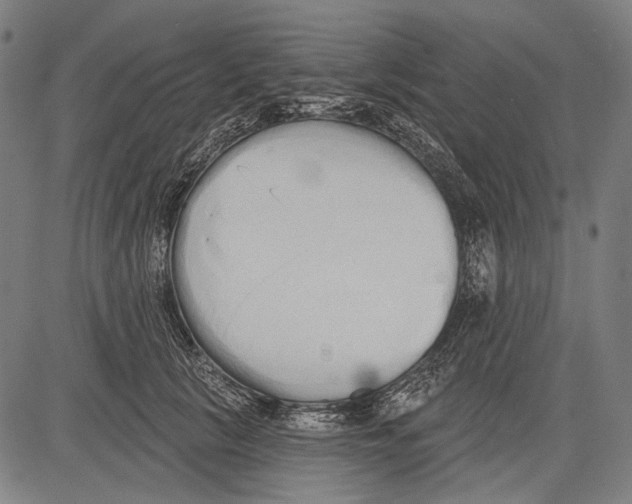 X0000081600657200702121550