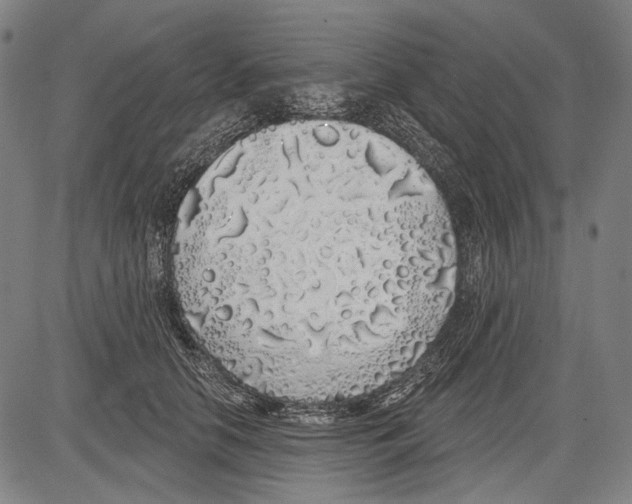 X0000081600658200702121550