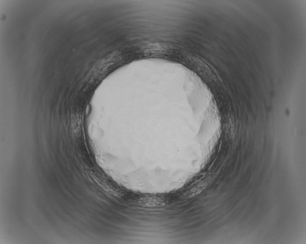 X0000081600660200702121550