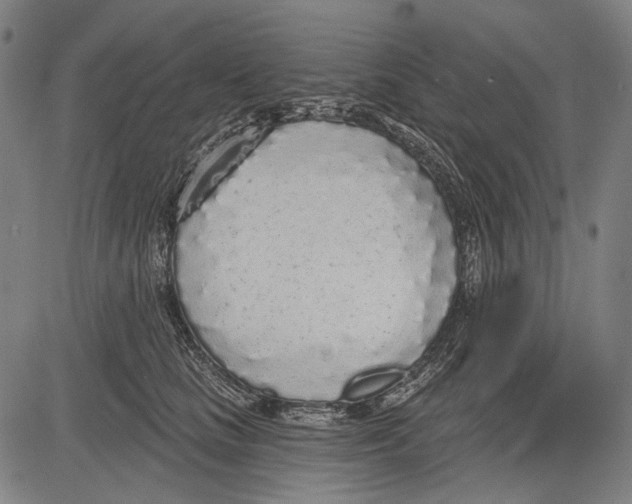 X0000081600661200702121550