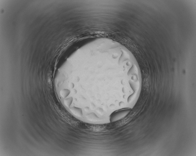 X0000081600662200702121551