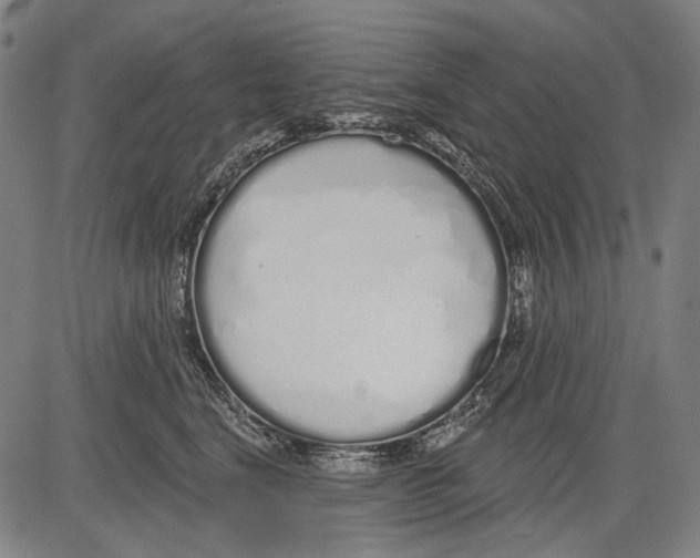 X0000081600664200702121551