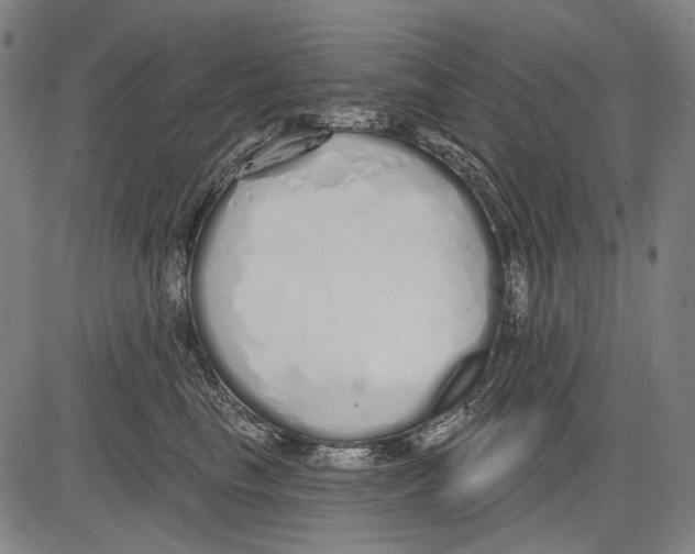 X0000081600665200702121551