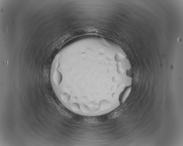 X0000081600666200702121551