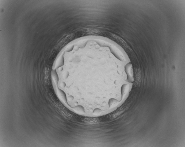 X0000081600667200702121551