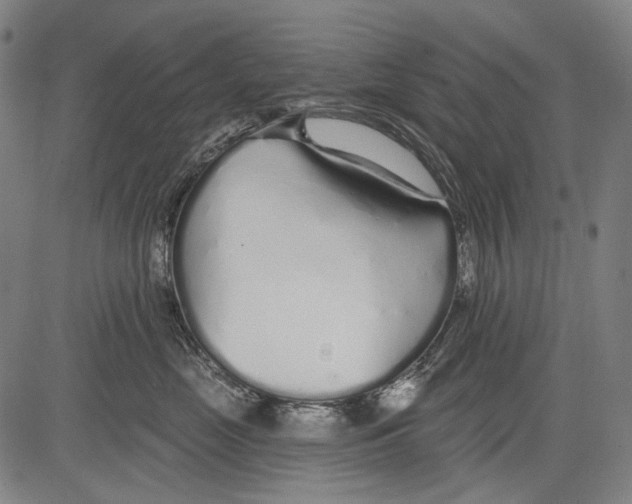 X0000081600669200702121551