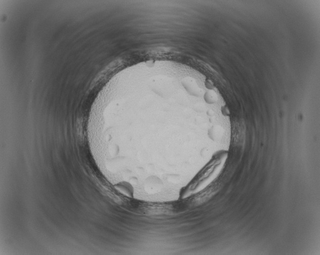 X0000081600670200702121551