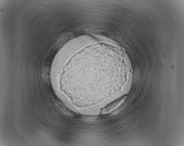 X0000081600671200702121551