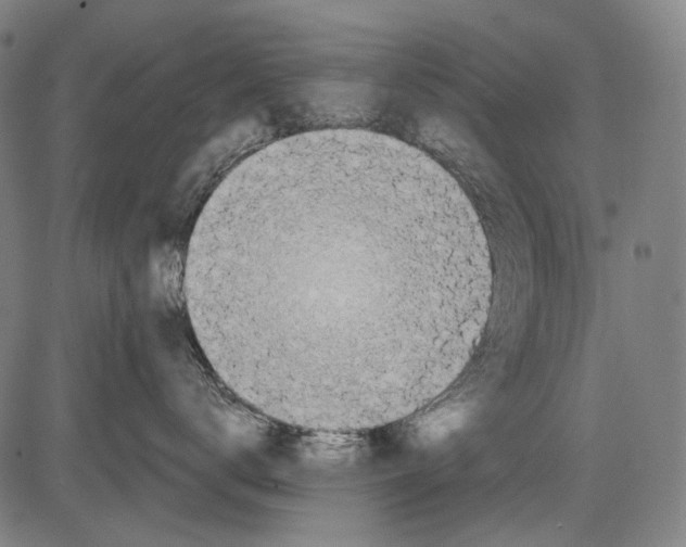 X0000081600672200702121551