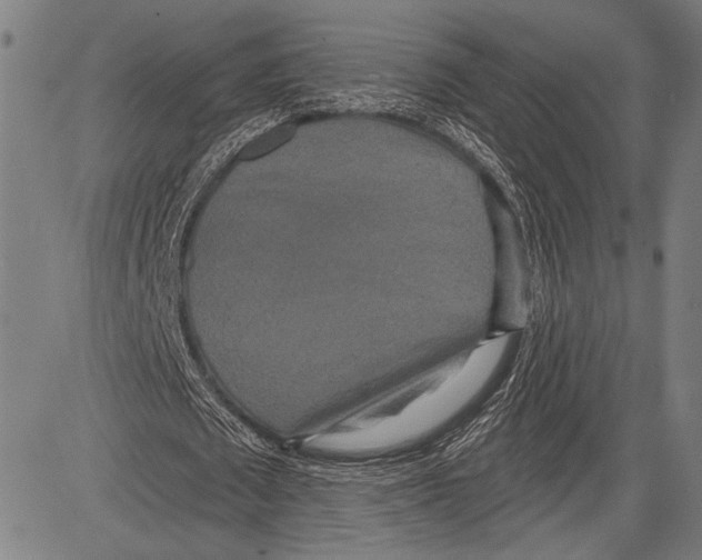 X0000081600673200702121550