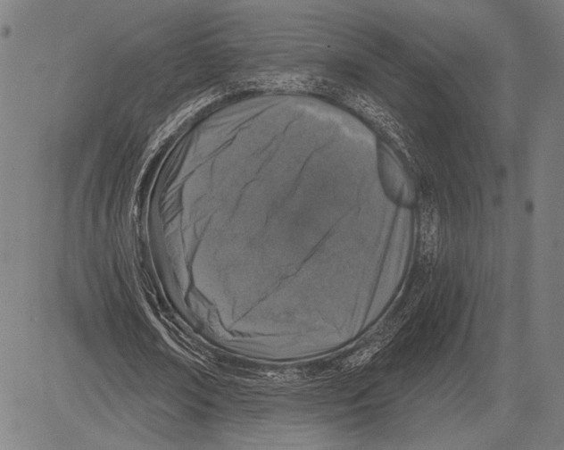 X0000081600674200702121550