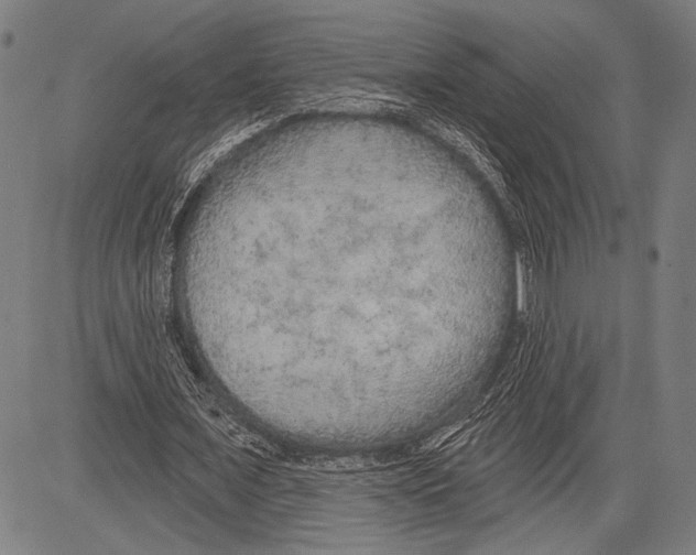 X0000081600675200702121550