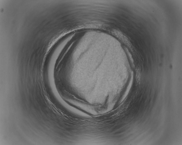 X0000081600676200702121550