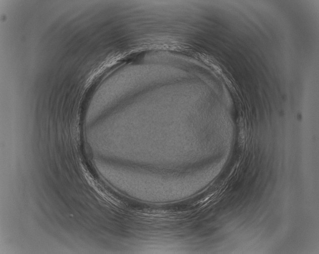 X0000081600677200702121550