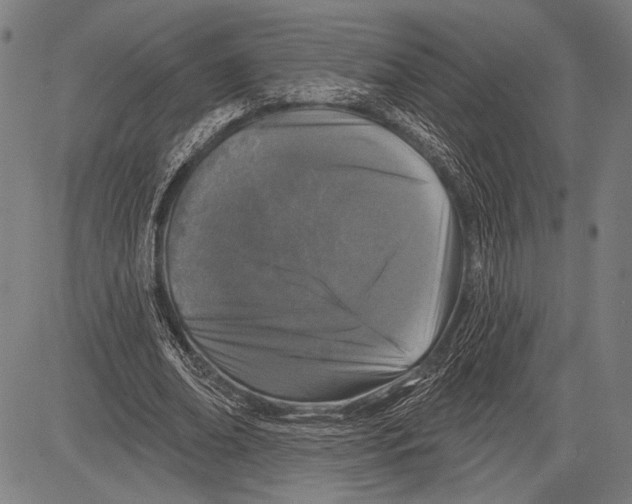 X0000081600678200702121550