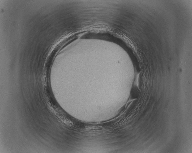 X0000081600680200702121550